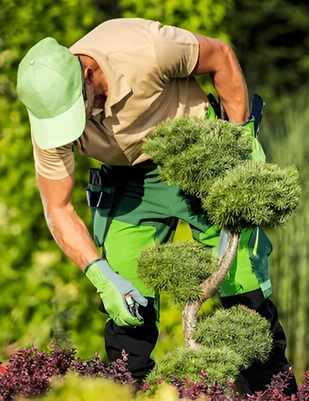 Dallais Les Paysages Creation De Bassin Asse Le Boisne Creation Et Entretien Paysagere 10