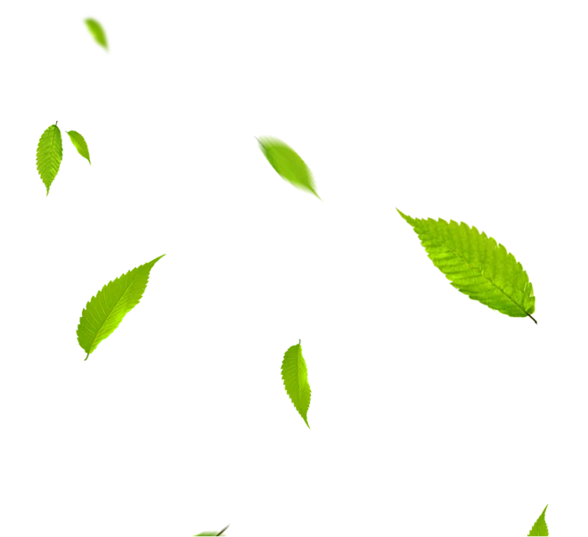 Dallais Les Paysages Creation De Bassin Asse Le Boisne Herbe 1